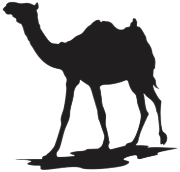 Standing Camel silhouette png