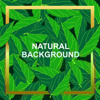 natural background with leaves suitable for promoting your product vector