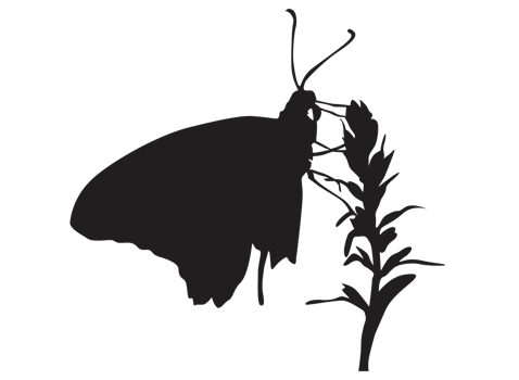 perching butterfly silhouette png