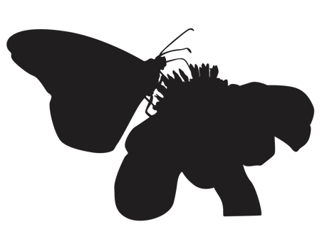 perching butterfly silhouette png
