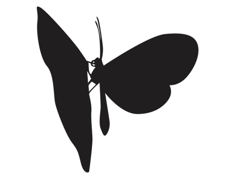 perching butterfly silhouette png