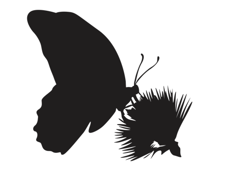 perching butterfly silhouette png