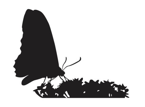 perching butterfly silhouette png