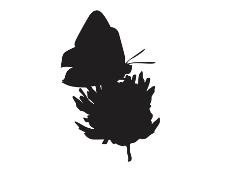 perching butterfly silhouette png