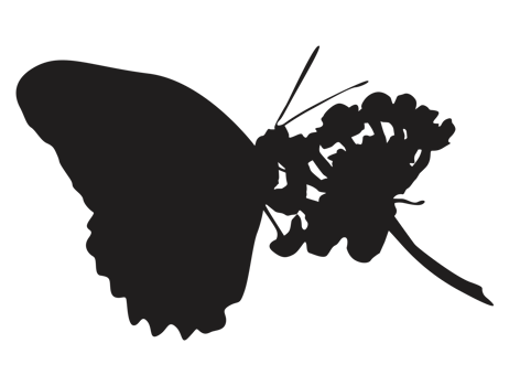 perching butterfly silhouette png