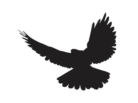 Bird - flying dove silhouette png