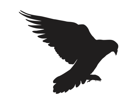 Bird - flying dove silhouette png
