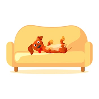 Dog playing on sofa. Dachshund lies on furniture vector