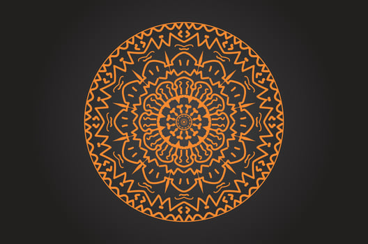 Professional Mandala Design vector