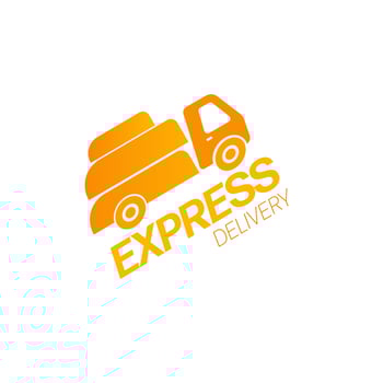 Fast Delivery Logo Icon Design Vector