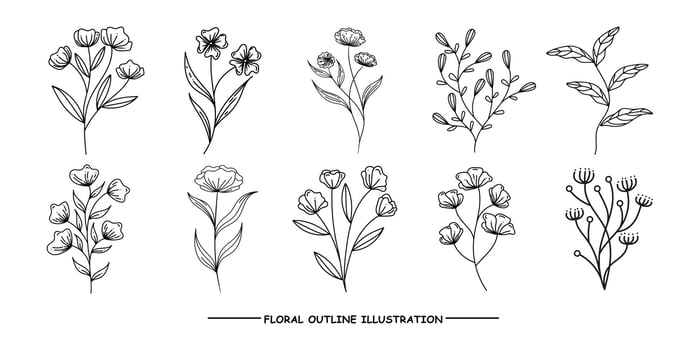 Hand draw floral line art set collection,flower outline illustration vector