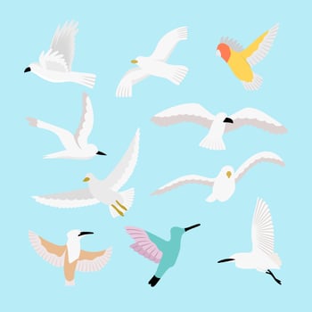 Set Of Flat Bird Illustration vector