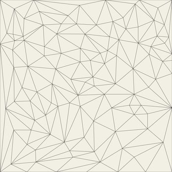 Irregular abstract linear grid. Reticulated monochrome texture pattern vector