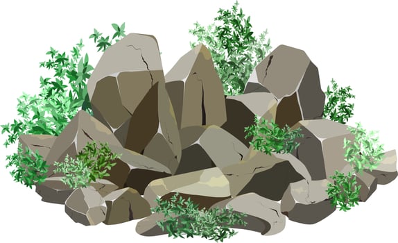 Collection of stones of various shapes and plants.Coastal pebbles,cobblestones,gravel,minerals and geological formations.Rock fragments,boulders and building material.Vector illustration . vector