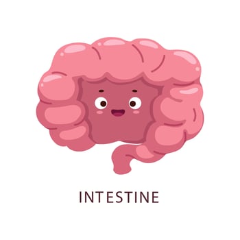 Cartoon intestine human body organ character vector