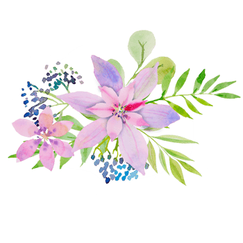 A branch of beautiful delicate purple flowers with leaves. Hand drawing for greeting cards, greetings, print. png