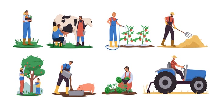 Agricultural workers gathering harvest, planting crops, feeding animals, working on tractor. Farmer working in field vector