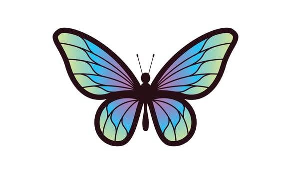 Beautiful color butterfly logo vector art illustration