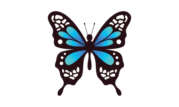 Beautiful color butterfly logo vector art illustration