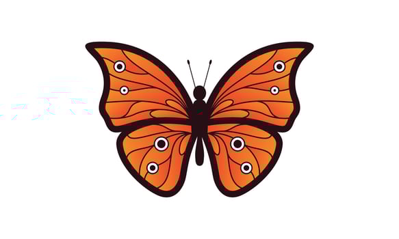 Beautiful color butterfly logo vector art illustration