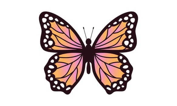 Beautiful color butterfly logo vector art illustration