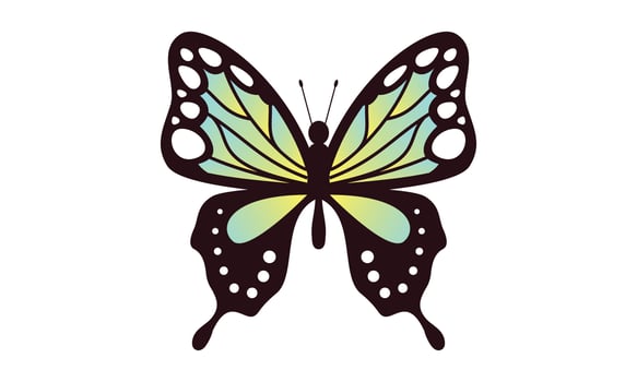 Beautiful color butterfly logo vector art illustration