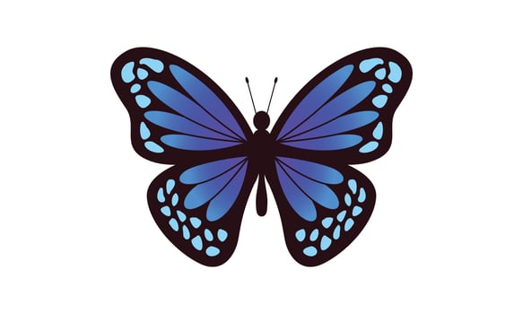 Beautiful color butterfly logo vector art illustration