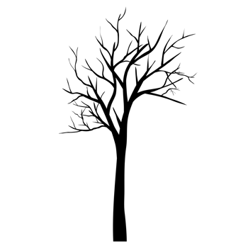 leafless tree silhouette png