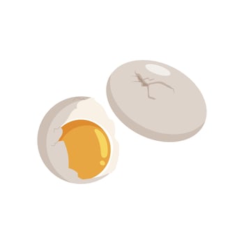 Vector illustrator of Chicken egg