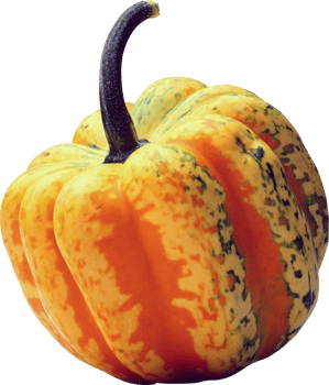 orange pumpkin isolated png