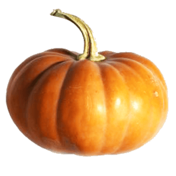orange pumpkin isolated png