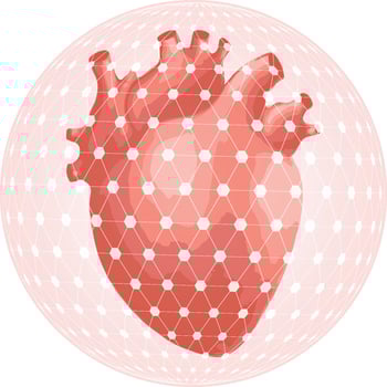 Human heart organs vector icon isolated