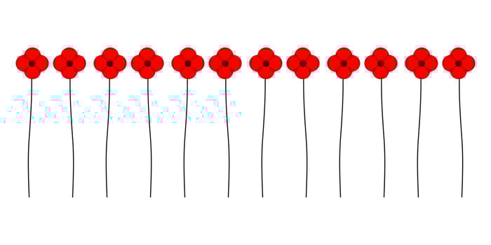Vector illustration of a bright poppy flower. Anzac memorial day symbol