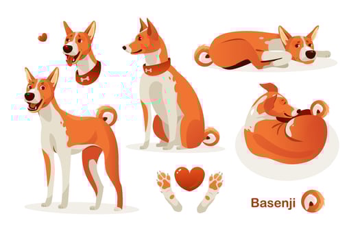 Basenji dog poses. Cartoon vector illustration