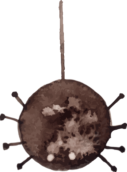 watercolor spider halloween png