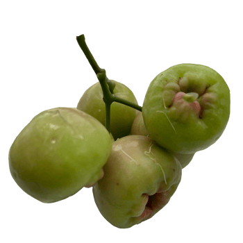 Water Apple Transparent png