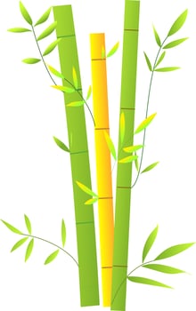 decorative bamboo in the garden, indoor bamboo for interior design vector illustration, Asia plant symbol