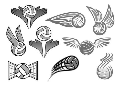 Vector balls icons for sport club