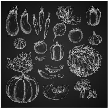 Vegetables isolated icons vector sketch