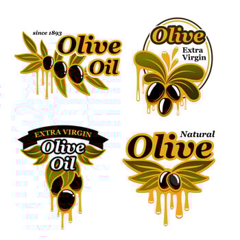 Olive oil vector icons set of olives
