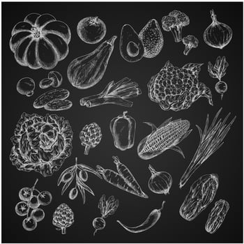 Vector vegetables chalk sketch icons set