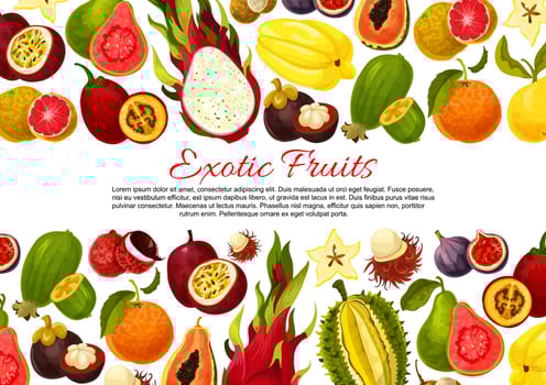 Vector poster of tropical exotic fruits harvest
