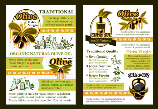 Olive product poster with oil and pickled fruit vector