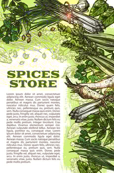 Vector sketch spices and herbs farm store poster