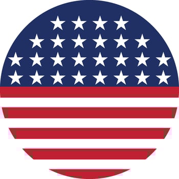 usa flag button vector