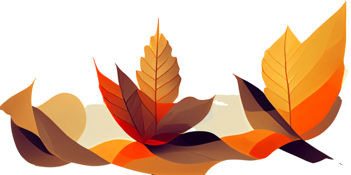 Autumn leave isolated on white background october digital art png