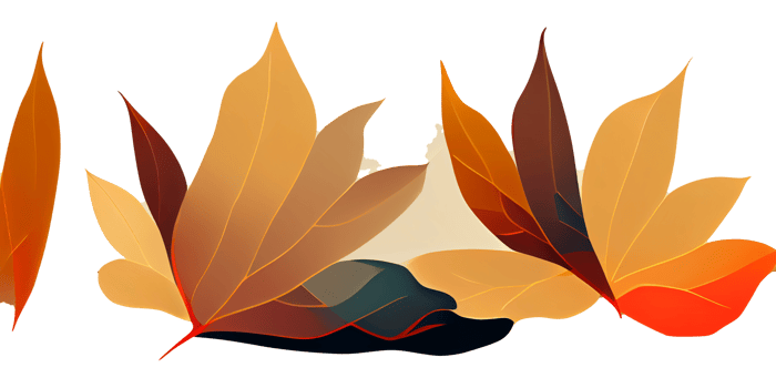 Autumn leave isolated on white background october digital art png