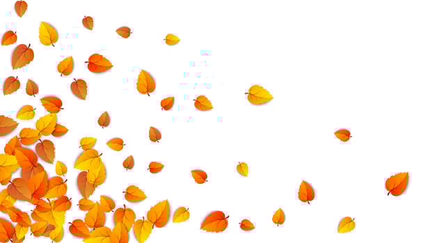 Seamless autumn leaves horizontal banner isolated on white background. Advertising template with golden autumn leaf. Fall season colors pattern. Autumnal nature foliage wallpaper frame. Vector