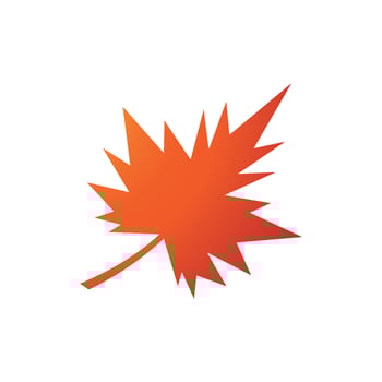 autumn leaf icon vector