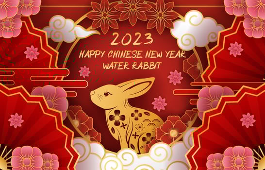 Chinese New Year Water Rabbit Background vector